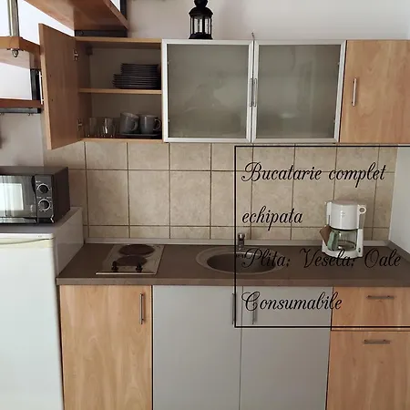 Cu Gradina Ariel & Nemo Eforie Nord